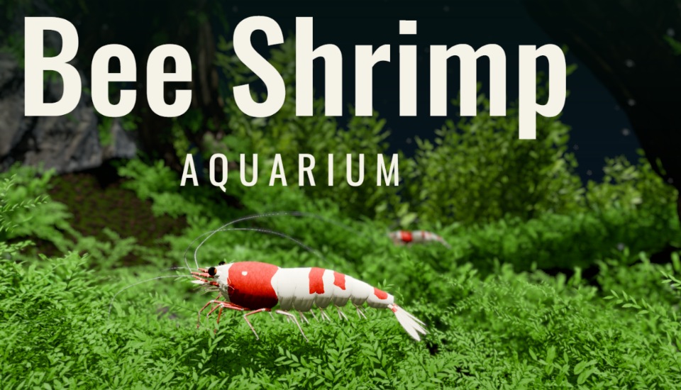 Bee Shrimp Aquarium カバー画像